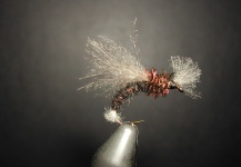  Foto de Atado de moscas para Trucha arcoiris compartida por Angelo Lepore – Fly dreamers