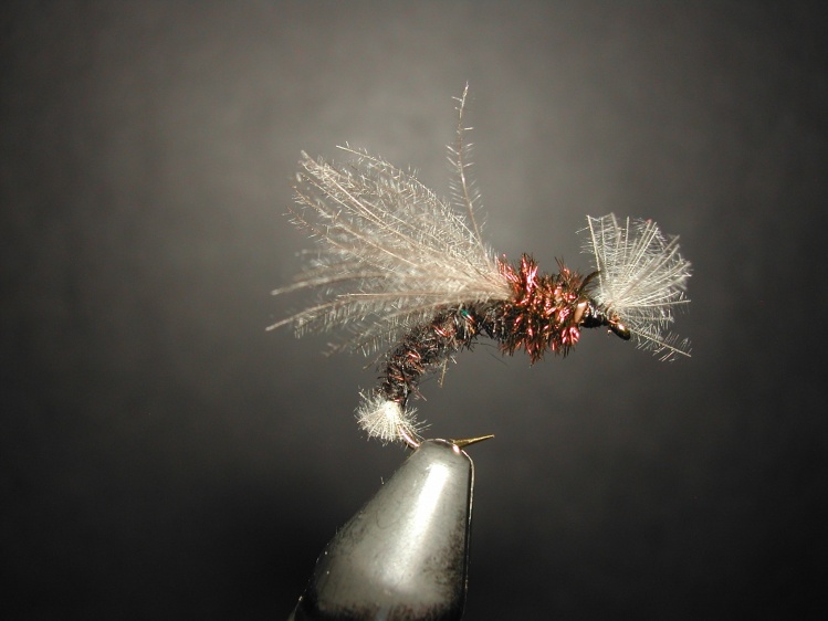 Here is a midge pattern tied by Agostino Roncallo,a very known Italian Fly Tier ...