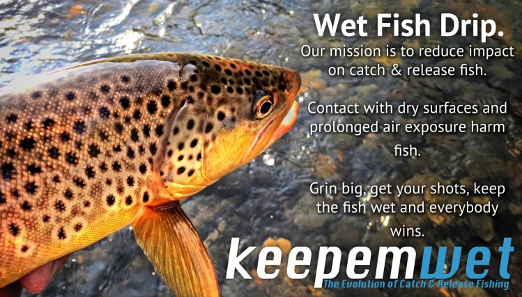 Our #keepemwet mission is to reduce impact on catch &amp; release fish. 
Contact with dry surfaces and prolonged air exposure harm fish.
Grin big, get your shots, keep the fish wet and everybody wins.
#WetFishDrip