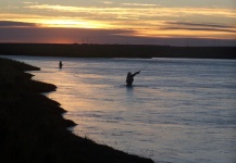  Steelhead – Gran Situación de Pesca con Mosca – Por Juani Dominguez