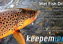 Fly-fishing Pic of Brown trout shared by Fishbite Media – Fly dreamers 