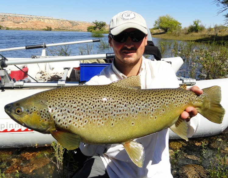 limay monsters fly fishing