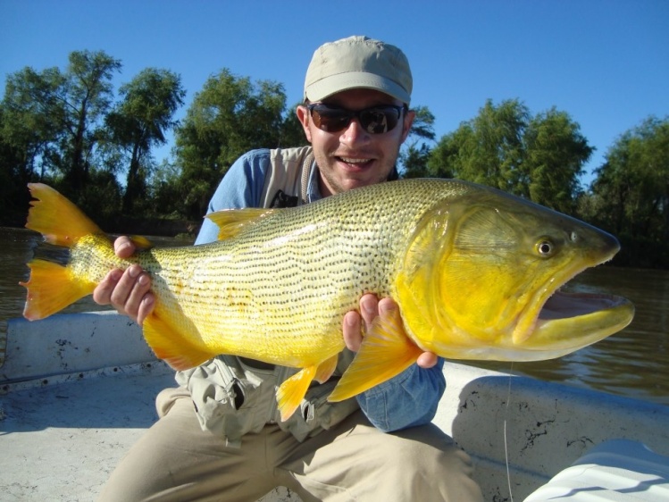 Excelente Dorado capturado en Piracua Lodge.