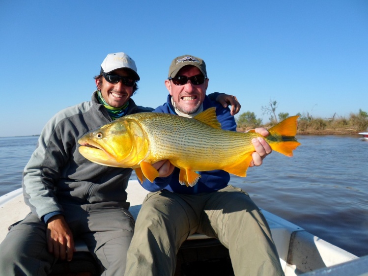 Hermoso Dorado capturado por el Amigo Pablo Saracco. en Piracua Lodge