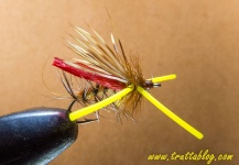 Fly for Rainbow trout - Picture by Andrew Fowler – Fly dreamers 