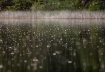  Gran Foto de Entomología y Pesca con Mosca compartida por Guadita Y Walterio – Fly dreamers