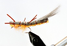 Fly-tying for Brown trout - Pic by Colin Pittendrigh 