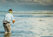 Permit Fly-fishing Situation – Fin Chasers Magazine shared this () Image in Fly dreamers 