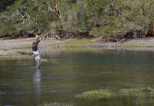 Sweet Fly-fishing Situation of Rainbow trout - Picture shared by Federico Anselmino – Fly dreamers