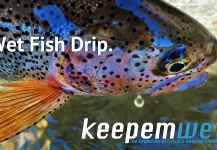 Fishbite Media 's Fly-fishing Image of a Rainbow trout – Fly dreamers 