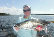 Fly-fishing Picture of Snook - Robalo shared by Semper Fly – Fly dreamers