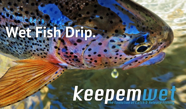 We love all kinds of juicy fish photos. If the fish is wet, it drips. #keepemwet