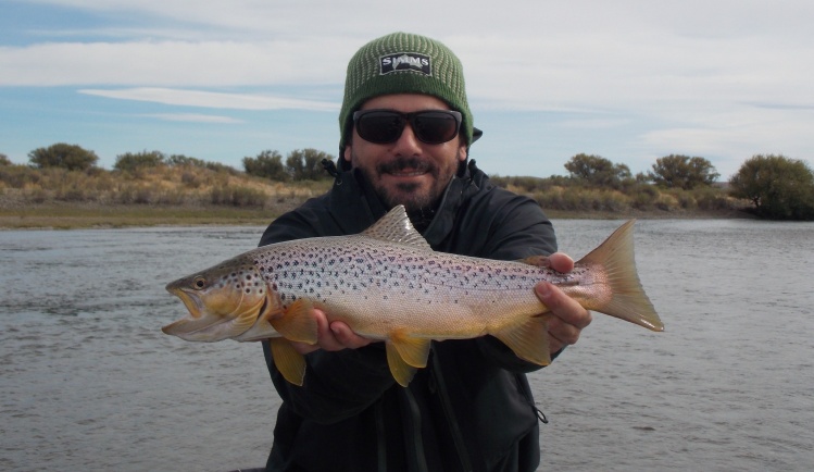 Limay medio.