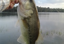  Fotografía de Pesca con Mosca de Bass de boca grande - Lubina Negra compartida por LUIS SÁNCHEZ ANAYA – Fly dreamers