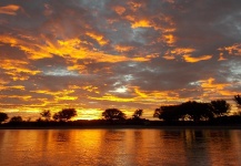 Fly Fishing in the Limay River, Argentina - Fly dreamers