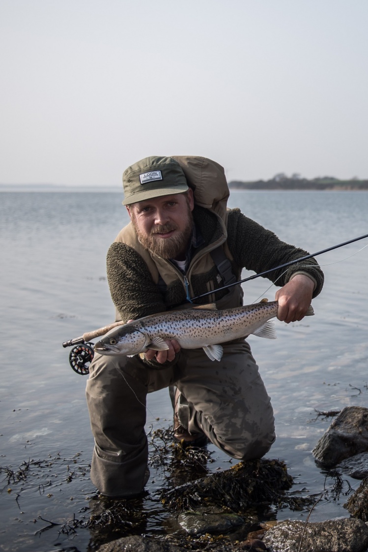 Sea run brown trout from Denmark