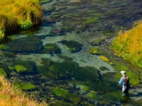 Foto de pesca con mosca