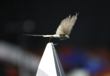 Stig M. Hansen 's Fly for Brown trout - Image – Fly dreamers 