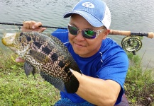 Fly-fishing Photo of Jaguar Guapote shared by Hai Truong – Fly dreamers 