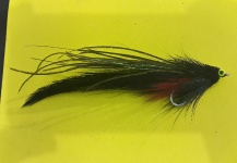 Luiz Fabiano Nogueira Elisbão 's Fly-tying for Golden Dorado - Photo – Fly dreamers 