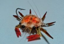 Fly-tying for Permit - Pic by Hernán Tula 