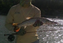 Elias Kuffaty 's Fly-fishing Photo of a Bicuda – Fly dreamers 