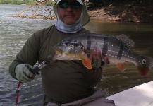 Elias Kuffaty 's Fly-fishing Picture of a Peacock Bass – Fly dreamers 