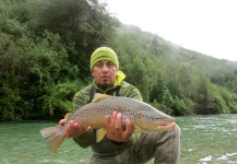 Fly-fishing Photo of Brown trout shared by Alex Habibeh – Fly dreamers 