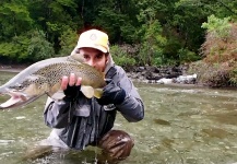 Fly-fishing Pic of Brown trout shared by Alex Habibeh – Fly dreamers 