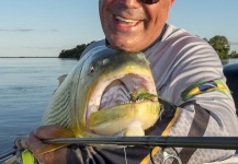 Fly-fishing Picture of Golden Dorado shared by Pepe Mélega – Fly dreamers