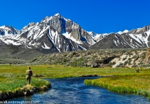 High Sierras