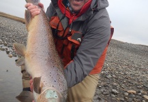 Carlos Fernando Hernandez (AMBA) 's Fly-fishing Photo of a Sea-Trout – Fly dreamers 