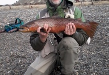 David Mendez 's Fly-fishing Photo of a Brown trout – Fly dreamers 