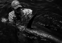 Fergus Kelley 's Fly-fishing Catch of a Sailfish – Fly dreamers 