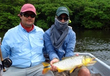 Fly-fishing Picture of Golden Dorado shared by Santiago Miraglia – Fly dreamers