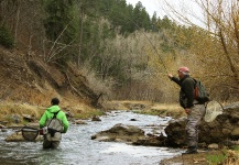 Fly-fishing Situation of Brown trout - Photo shared by Dan Frasier – Fly dreamers 