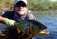 Fly-fishing Image of Golden Dorado shared by Ariel Najle – Fly dreamers
