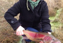 Fly-fishing Pic of Rainbow trout shared by Kris Sanders – Fly dreamers 
