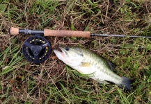 Joe Rowe 's Fly-fishing Picture of a Largemouth Bass – Fly dreamers 