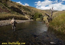  Situación de Pesca con Mosca de Trucha arcoiris– Foto por Andrew Fowler en Fly dreamers