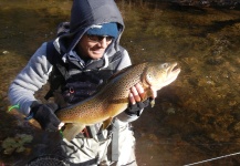 Fly-fishing Pic of Brown trout shared by Guillaume Duvernois – Fly dreamers 