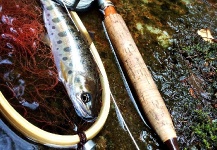 Maki Caenis 's Fly-fishing Photo of a Yamame – Fly dreamers 