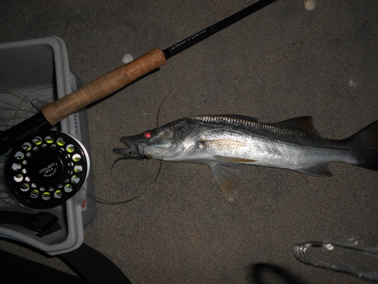 first snook in the dark this year...535am....ate right ate my feet! On the T&amp;T Solar....starting to LOVE that stick guys!