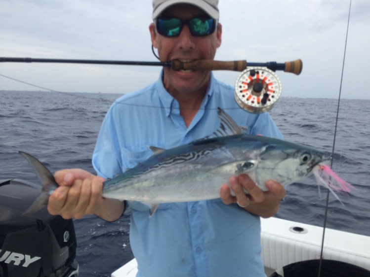 they were in good numbers today...not giant(too early) but certainly plentiful....especially when the live chum hit the water...