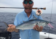 David Bullard 's Fly-fishing Image of a False Albacore - Little Tunny – Fly dreamers 