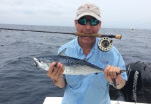 David Bullard 's Fly-fishing Photo of a False Albacore - Little Tunny – Fly dreamers 