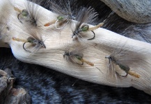 Fly-tying for Grayling -  Image shared by Fabrizio Gajardoni – Fly dreamers