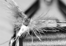  Foto de Atado de moscas para Trucha marrón compartida por Stig M. Hansen – Fly dreamers