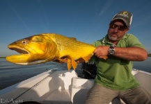  Foto de Pesca con Mosca de Salminus brasiliensis por Dario Arrieta – Fly dreamers 