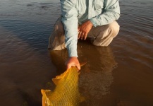  Imagen de Pesca con Mosca de Dorado compartida por Dario Arrieta – Fly dreamers